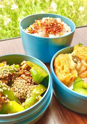 タロの弁当②（豚バラ焼肉のタレ炒めほか）-レシピのメイン写真