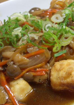 大好評！揚げだし豆腐の野菜餡かけ-レシピのメイン写真