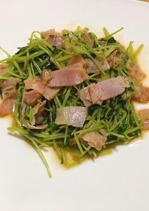 豆苗のバターソテー-レシピのメイン写真