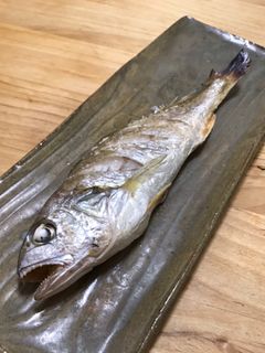 簡単!いしもちの塩焼き-レシピのメイン写真