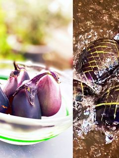 簡単すぎる!なすの揚げ浸し-レシピのメイン写真
