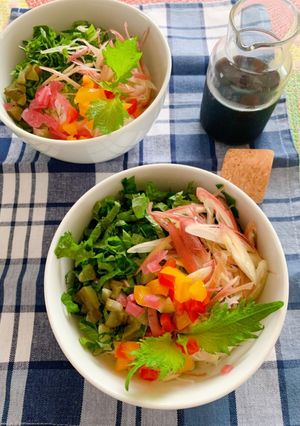 冷え冷えサラダ素麺-レシピのメイン写真