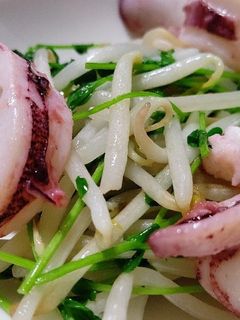 イカともやしと豆苗炒め-レシピのメイン写真