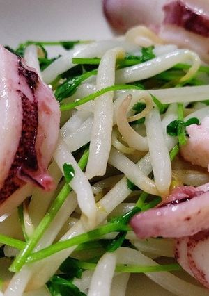 イカともやしと豆苗炒め-レシピのメイン写真