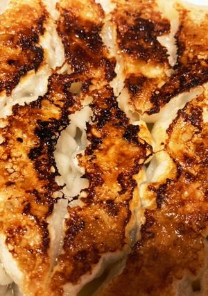 基本の餃子-レシピのメイン写真