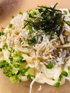 プチッとうどん●ネギ&しらす冷やしうどん-レシピのメイン写真