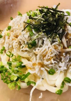 プチッとうどん●ネギ＆しらす冷やしうどん-レシピのメイン写真
