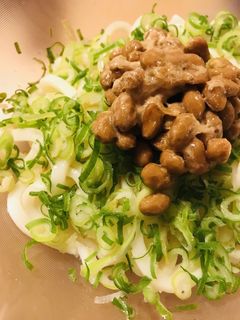 プチッとうどん●ネギ&納豆の冷やしうどん-レシピのメイン写真