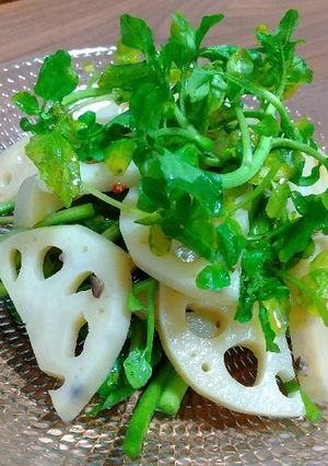 れんこんとクレソンのサラダ-レシピのメイン写真