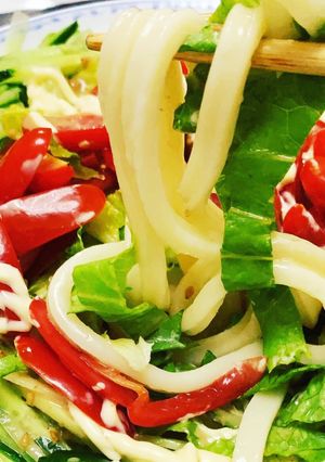 野菜たっぷりサラダうどん-レシピのメイン写真