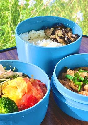 タロの弁当④^_^ ポン酢豚、サルサ卵-レシピのメイン写真
