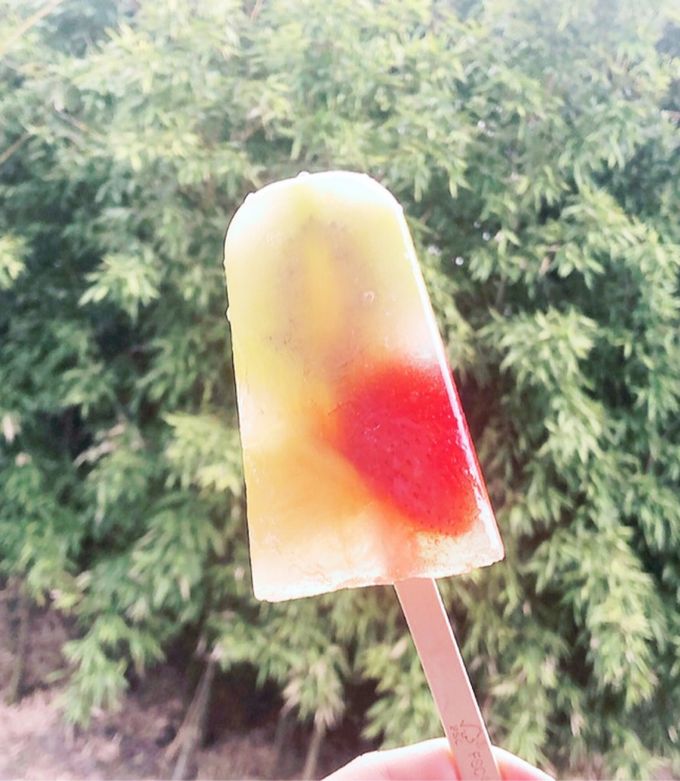 とけないアイスキャンディ糖尿病食-レシピのメイン写真
