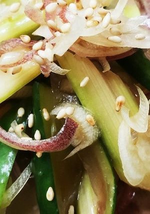 お年寄り絶賛シリーズ☆セロリ茗荷浅漬け☆-レシピのメイン写真