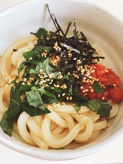 大葉と梅のさっぱり冷やしうどん-レシピのメイン写真