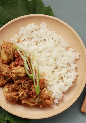 ネギ(葱王)チキンカレー-レシピのメイン写真