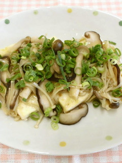豆腐のきのこソース-レシピのメイン写真