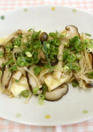 豆腐のきのこソース-レシピのメイン写真