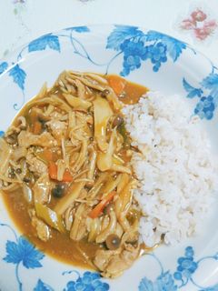 私の和風カレー-レシピのメイン写真