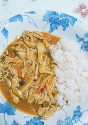 私の和風カレー-レシピのメイン写真