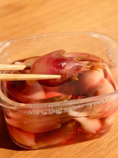 みょうがのさっぱり甘酢漬け-レシピのメイン写真