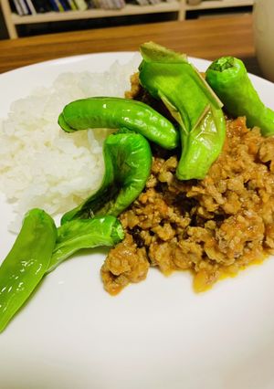 獅子唐辛子のキーマカレー-レシピのメイン写真