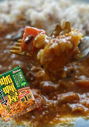 超手抜きハウス咖喱屋キーマカレーと夏野菜-レシピのメイン写真