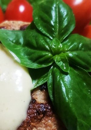 お年寄り絶賛シリーズ☆豆腐ハンバーグ☆-レシピのメイン写真