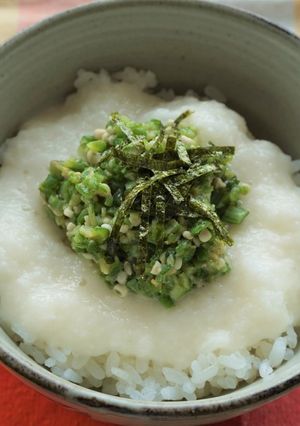 オクラととろろのネバネバ丼-レシピのメイン写真