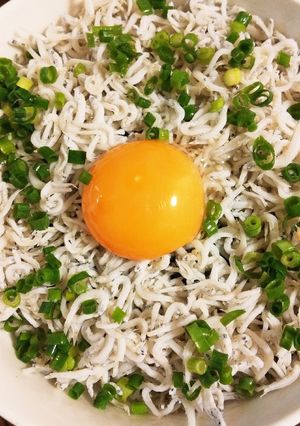 簡単☆美味しい☆しらす丼-レシピのメイン写真