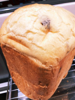 生クリームでサクふわ食パン-レシピのメイン写真