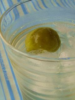 ウマイよ♥梅シロップ-レシピのメイン写真