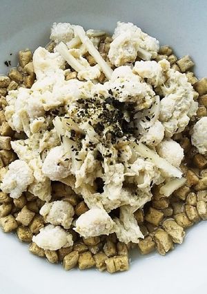 犬ご飯　ごぼうの柳川風-レシピのメイン写真