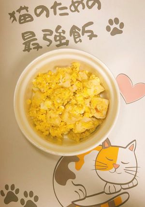 【決定版】猫のための最強飯♡-レシピのメイン写真