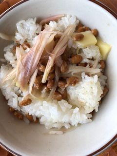 納豆とミョウガの酢漬けのご飯-レシピのメイン写真