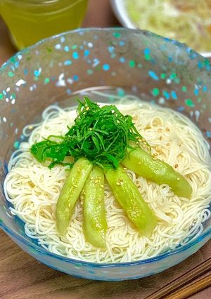 翡翠茄子のぶっかけ塩そうめん-レシピのメイン写真