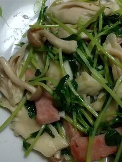 豆苗とキノコの中華炒め-レシピのメイン写真