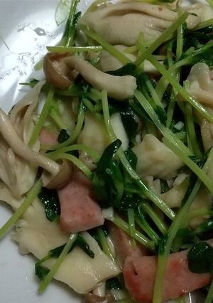 豆苗とキノコの中華炒め-レシピのメイン写真