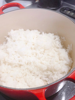 炊飯器の早炊きより早い!ル・クルーゼご飯-レシピのメイン写真