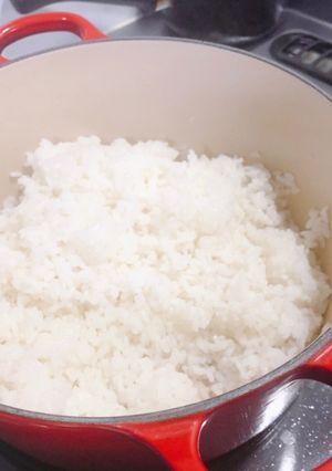 炊飯器の早炊きより早い！ル・クルーゼご飯-レシピのメイン写真