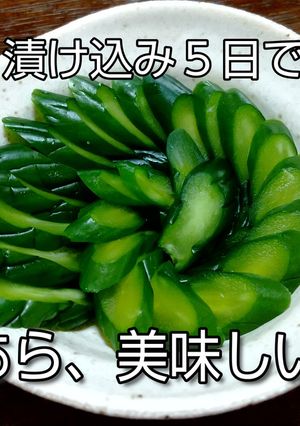 キュウリの粕漬け (味あっさりお手軽版)-レシピのメイン写真