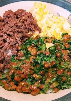 子どもも喜ぶ三色丼☆-レシピのメイン写真