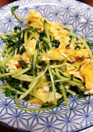簡単節約☆豆苗と卵のコンソメ炒め-レシピのメイン写真