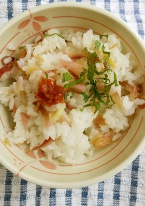 みょうがのさっぱり混ぜご飯-レシピのメイン写真