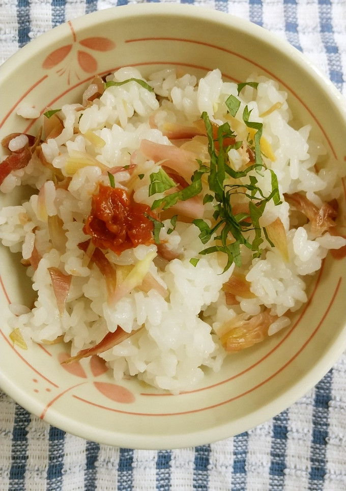 みょうがのさっぱり混ぜご飯-レシピのメイン写真