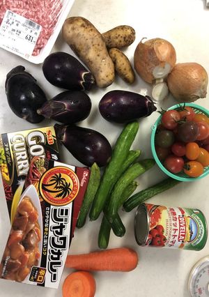 夏野菜たっぷりのカレー-レシピのメイン写真