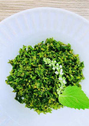 シソの実の塩漬け　さっと茹でる作り方-レシピのメイン写真