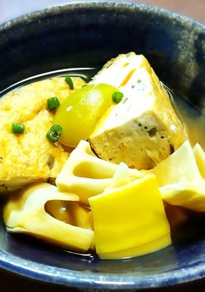 破竹とがんもどきの煮物-レシピのメイン写真