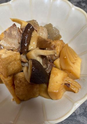 豚バラと筍、厚揚げ、こんにゃくの炒め煮-レシピのメイン写真
