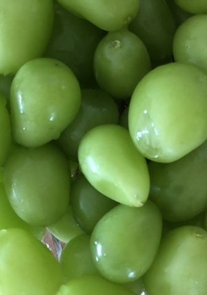 ぶどうの洗い方、食べ方-レシピのメイン写真
