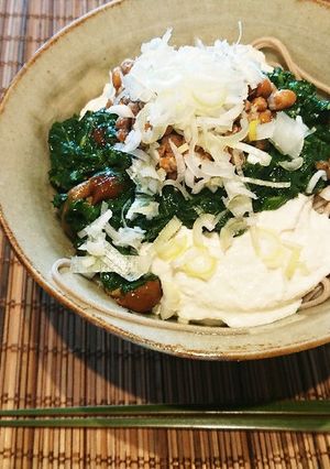 お豆腐蕎麦-レシピのメイン写真